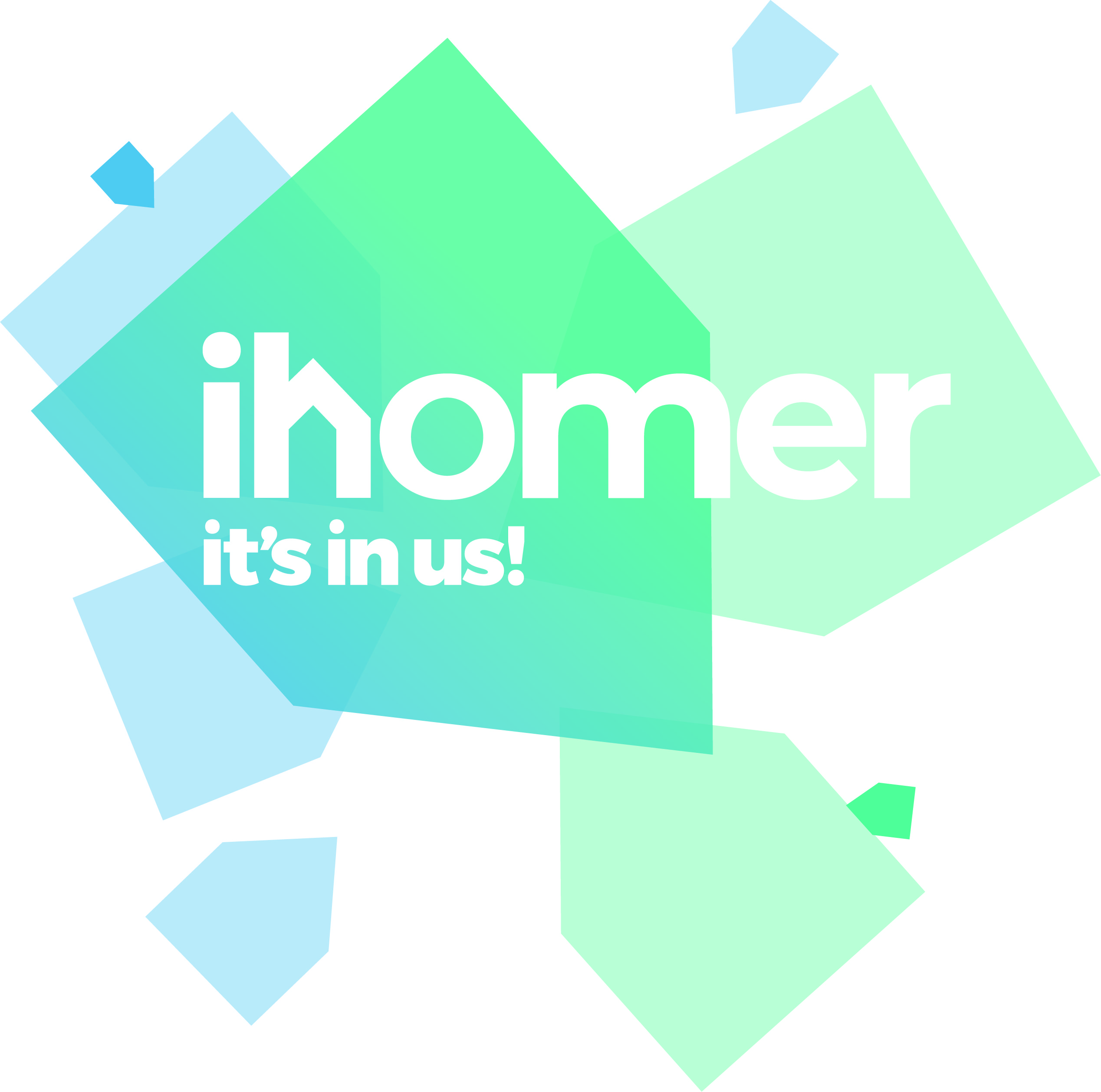 iHomer_Logo_vlakken
